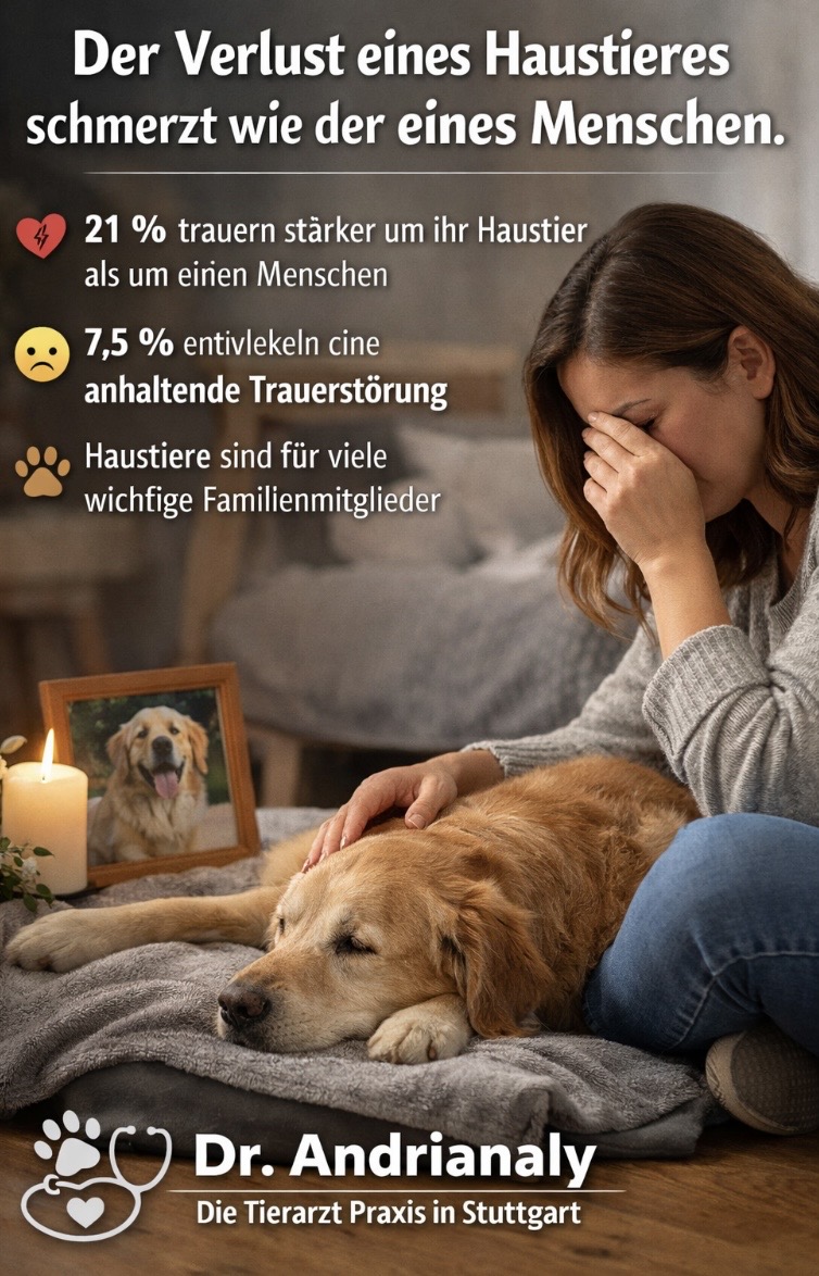 đž Psychologie der Tierliebe: Warum der Verlust eines Haustieres so schmerzhaft ist. Dr. Andrianaly â die Tierarzt Praxis in Stuttgart erklärt Der Verlust eines geliebten Haustieres trifft viele Menschen tief â đž Psychologie der Tierliebe: Warum der Verlust eines Haustieres so schmerzhaft ist. Dr. Andrianaly â die Tierarzt Praxis in Stuttgart erklärt Der Verlust eines geliebten Haustieres trifft viele Menschen tief â